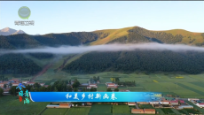 今日青海 20260408 和美乡村新画卷