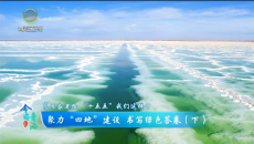 今日青海 20260414  聚力“四地”建设 书写绿色答卷（下）