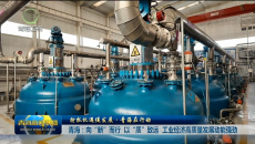 【抢抓机遇促发展·青海在行动】青海：向“新”而行 以“质”致远 工业经济高质量发展动能强劲