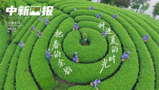 【诗画中国】把春的余韵，种进夏的时光