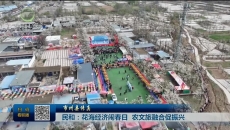 【市州县传真】民和：花海经济闹春日 农文旅融合促振兴