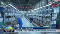 【奋进十五五 开好局起好步】中复神鹰“六强”品牌建设实践成果获评国企品牌卓著工程
