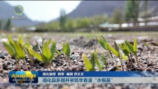 循化县多措并举筑牢春灌“水根基”