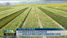 【树立和践行正确政绩观】以正确政绩观引领企业高质量发展——青海扎实开展树立和践行正确政绩观学习教育