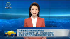 习近平近日作出重要指示强调 把“义乌发展经验”进一步总结好运用好 探索走出符合各自实际的高质量发展之路