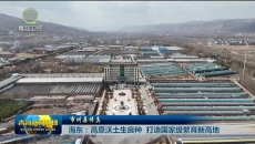 海东：高原沃土生良种 打造国家级繁育新高地