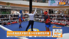 2026青海省武术散打青少年联赛燃情开赛