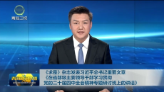 《求是》杂志发表习近平总书记重要文章《在省部级主要领导干部学习贯彻党的二十届四中全会精神专题研讨班上的讲话》