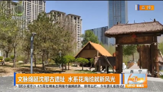 文脉绵延沈那古遗址 水系花海绘就新风光