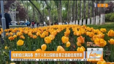 姹紫嫣红满园春 西宁人民公园郁金香正值最佳观赏期