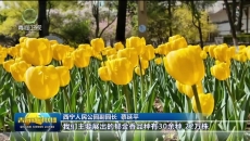 人民公园花海如潮 游客乐享“花样”时光