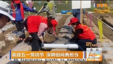 喜迎五一劳动节 深耕田间勇担当