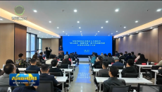 青海省新联会联合咨询服务团正式成立
