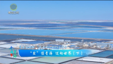 今日青海 20260430 “盐”值青海 迈向世界（下）
