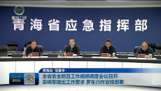 全省安全防范工作视频调度会议召开 吴晓军提出工作要求 罗东川作安排部署