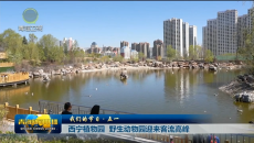 【我们的节日·五一】西宁植物园 野生动物园迎来客流高峰