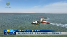 【抢抓机遇促发展·青海在行动】数字赋能稳产保运 青海盐湖钾肥助力全国春耕生产