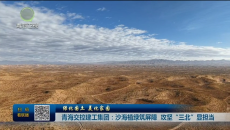 绿化国土 美化家园 青海交控建工集团：沙海植绿筑屏障 攻坚”三北”显担当