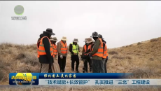 “技术赋能+长效管护” 扎实推进“三北”工程建设