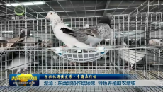 湟源：东西部协作结硕果 特色养殖助农增收