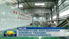 罗东川在西宁市大通县 海北州门源县调研时强调 深学细悟明方向 严查实改促提升 把学习教育成果转化为高质量发展实效