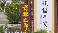 打破空间限制！100多件精品亮相街头 平安把文艺画廊搬进市民身边
