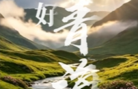 你好青海 20260511