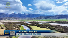 大美短视频·这就是青海 门源：草木渐绿 风光秀美