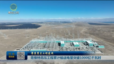 青豫特高压工程累计输送电量突破1000亿千瓦时