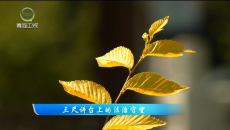 今日青海 20260520 三尺讲台上的法治守望