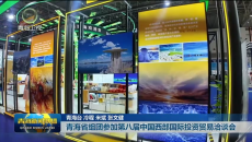 青海省组团参加第八届中国西部国际投资贸易洽谈会