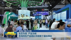 生态为底 产业为核 青海特色产品精彩亮相第十届丝博会