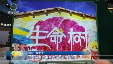 第二十二届文博会：沉浸式体验“山宗水源”文化IP讲述“大美青海”
