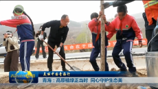 【美丽中国青海行】青海：高原植绿正当时 同心守护生态美