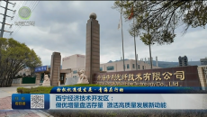 【抢抓机遇促发展·青海在行动】西宁经济技术开发区：做优增量盘活存量 激活高质量发展新动能