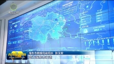 海东举办数字产业供需推介招商活动