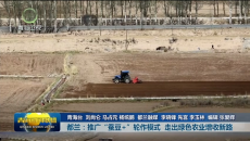市州县传真 都兰：推广 “蚕豆+”轮作模式 走出绿色农业增收新路