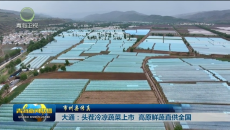 市州县传真 大通：头茬冷凉蔬菜上市 高原鲜蔬直供全国