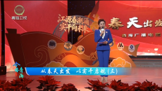 今日青海 20260531 从春天出发 以实干启航（三）