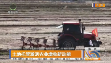 土地托管激活农业增收新动能