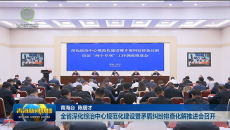 全省深化综治中心规范化建设暨矛盾纠纷排查化解推进会召开