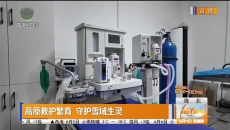 高原救护繁育 守护雪域生灵