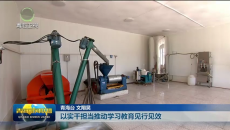以实干担当推动学习教育见行见效