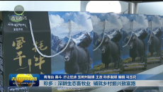 称多：深耕生态畜牧业 铺就乡村振兴致富路