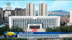 青海法院生态环境司法保护状况发布会召开