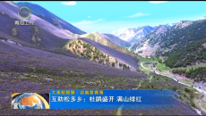 晚间播报 20260607