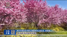 晚间播报 20260606
