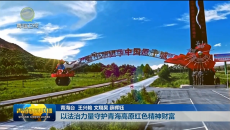 以法治力量守护青海高原红色精神财富