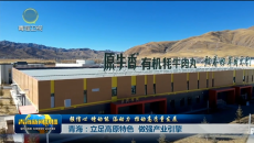 【强信心 增动能 添动力 推动高质量发展】青海：立足高原特色 做强产业引擎