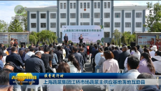 【援青进行时】上海蔬菜集团江桥市场蔬菜主供应基地落地互助县